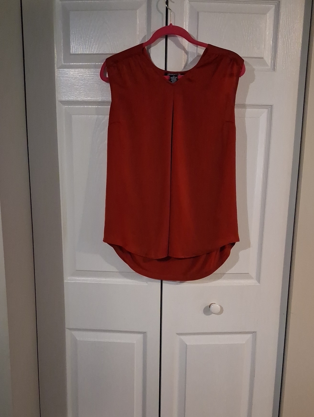 Sleeveless Rust Blouse
